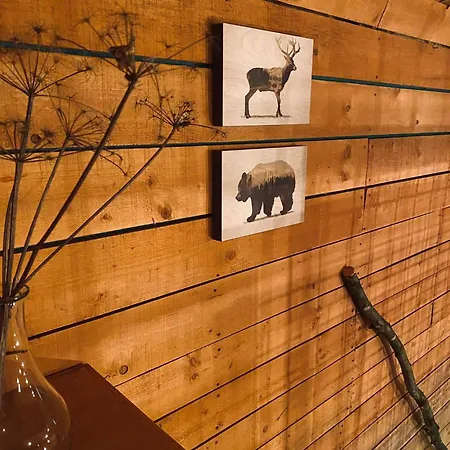 Apartman De La Folie Martelange